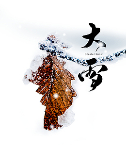 冬天大雪树叶树枝雪花二十四节气