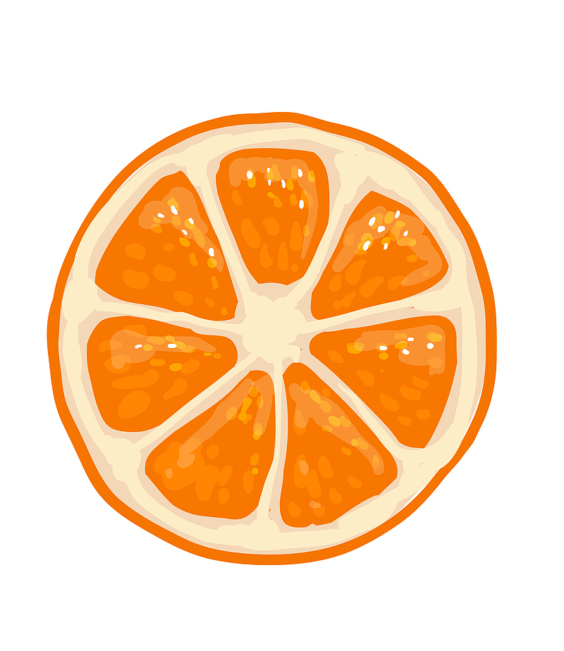 手绘橙子切片