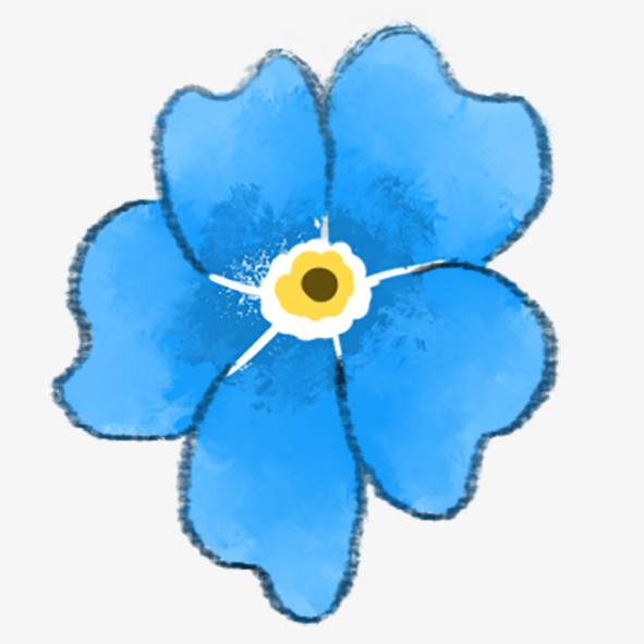 手绘满天星花朵