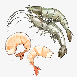 手绘海鲜大虾