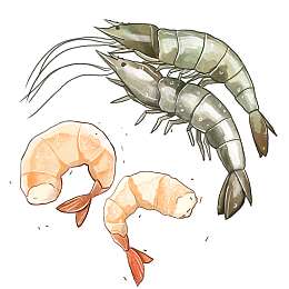 手绘海鲜大虾