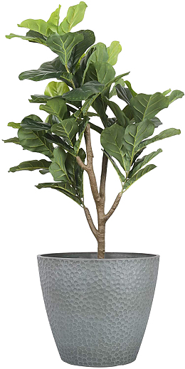 室内大型绿植盆栽