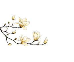 中式素材 花枝
