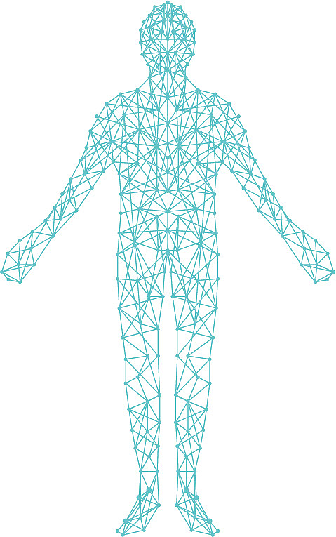 人物结构线条图