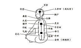 人体穴位