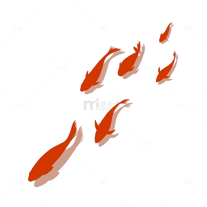 鲤鱼红色鱼类锦鲤