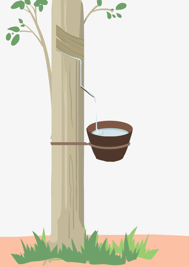 关键词 : 卡通,橡胶树,割胶,插画[声明] 觅元素所有素材为用户免费