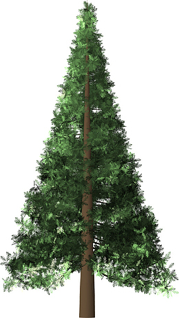 圣诞树喜迎圣诞节节日氛围