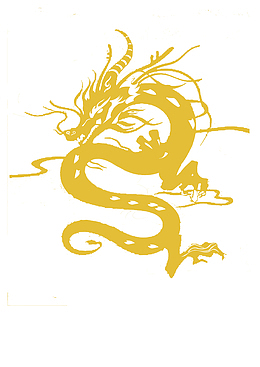 青龙剪影图案