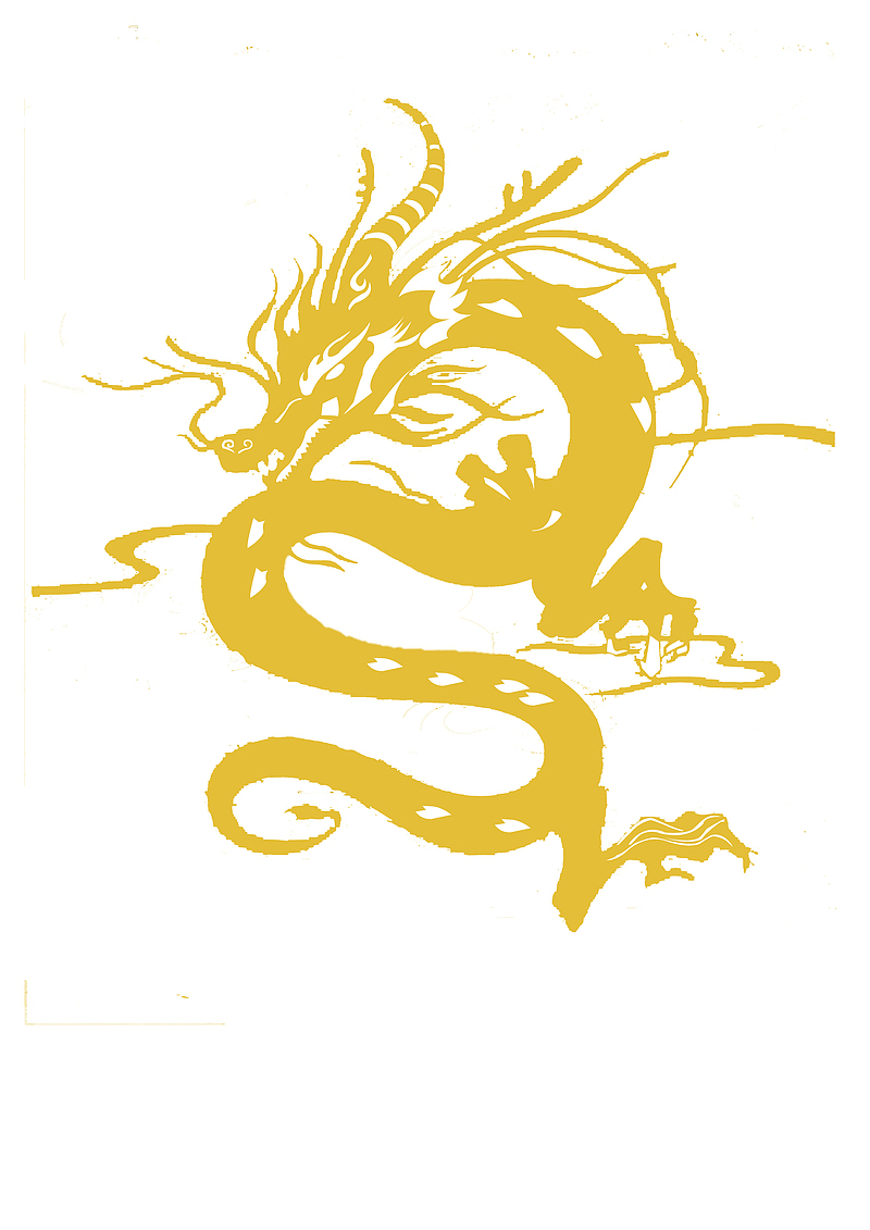 青龙剪影图案