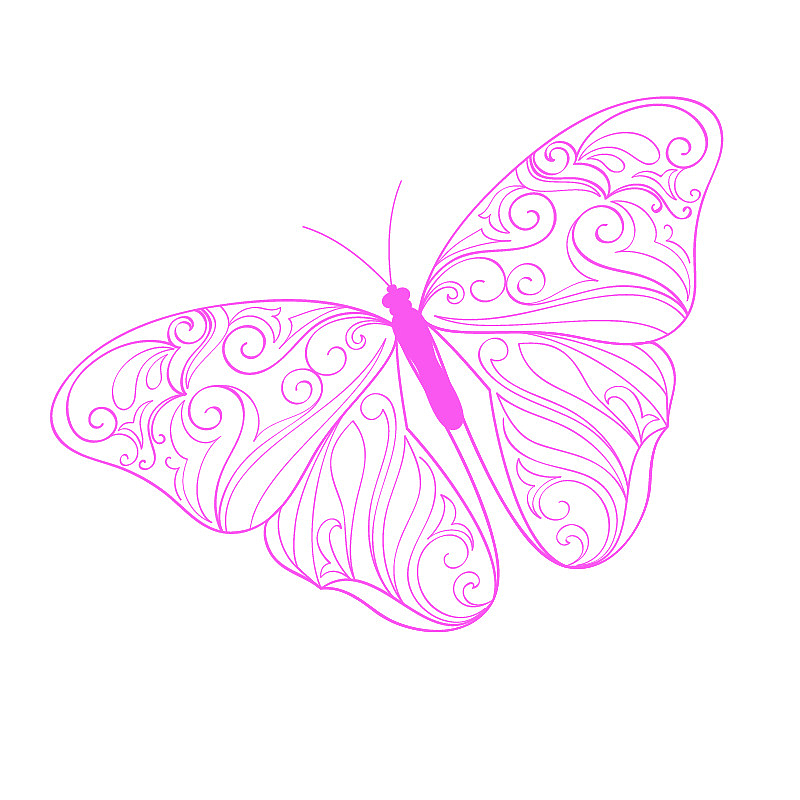 粉色花纹蝴蝶