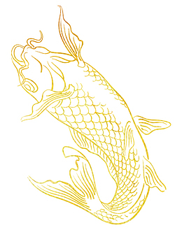 年年有鱼 金鱼 鱼