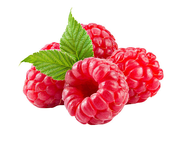免抠水果树莓