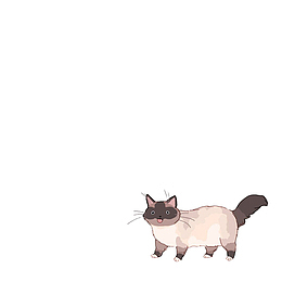 二次元的猫咪