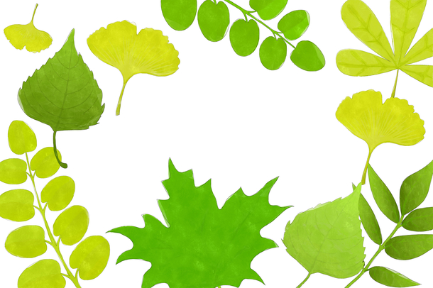 清新叶子背景图