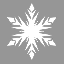 一片完美的雪花