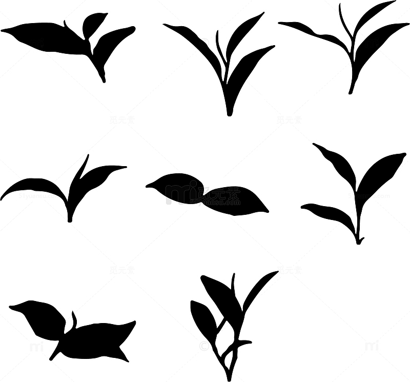 树叶茶叶抠图元素