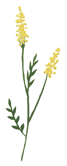手绘鲜花植物油画质感油画纹理