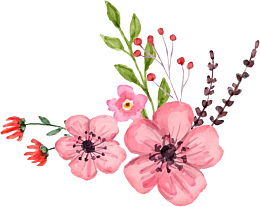 立春节气桃花花朵png