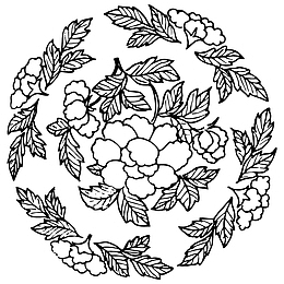 花纹 圆形 传统图案