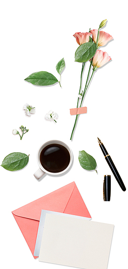 桔梗小清新钢笔信封