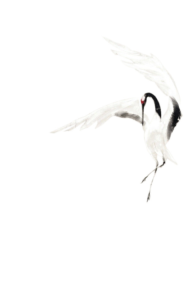 中国风 仙鹤 抠图 水墨