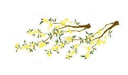 金桂 桂花 国潮
