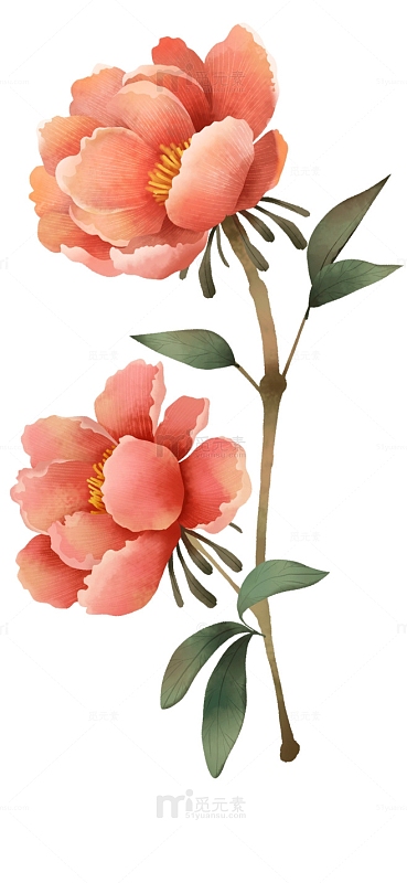 手绘牡丹花花朵装饰元素