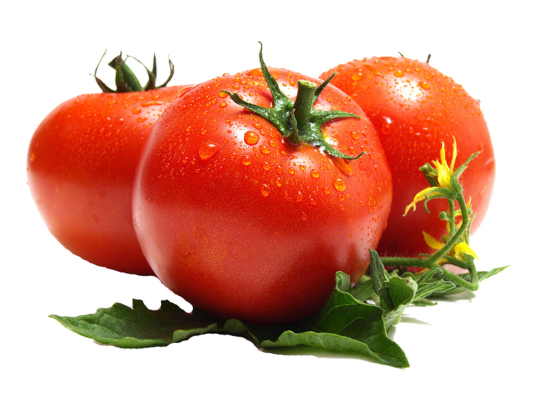 西红柿透明素材