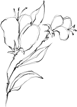 水墨植物元素17