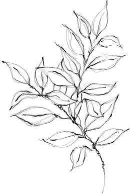 水墨植物元素16