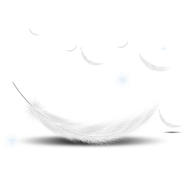 高清飘逸的PNG白色羽毛