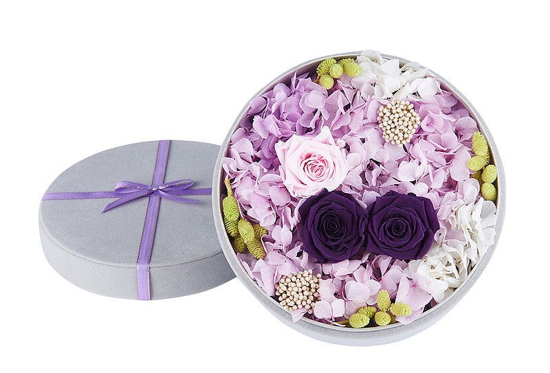 情人节高清紫色玫瑰花礼盒