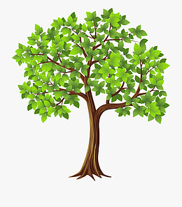 一棵手绘绿树矢量PNG