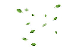 飘落悬浮的落叶