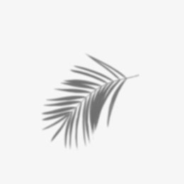 投影pngpng小米9 20w无线快充pngpsdpng纸箱样机素材pngpsdpng日常