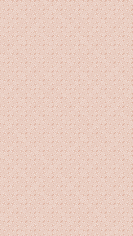 红方框中式花纹