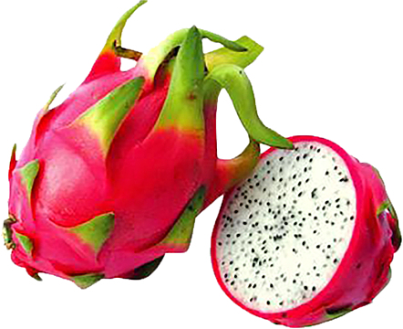 火龙果红色火龙果切开的火龙果