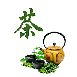 茶道茶叶茶杯绿叶