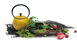 茶道茶叶茶杯绿叶