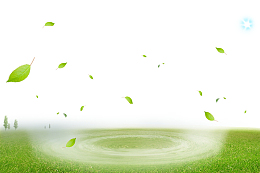 茶道茶叶茶杯绿叶