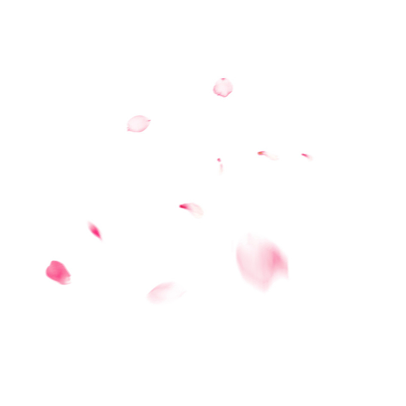 漂浮元素粉色花瓣叶子