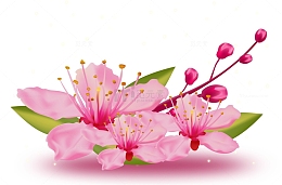 桃花手绘花枝元素图