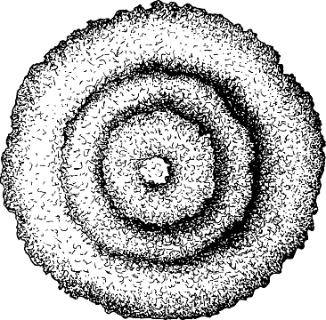 松柏松树黑白风手绘线稿平面图标