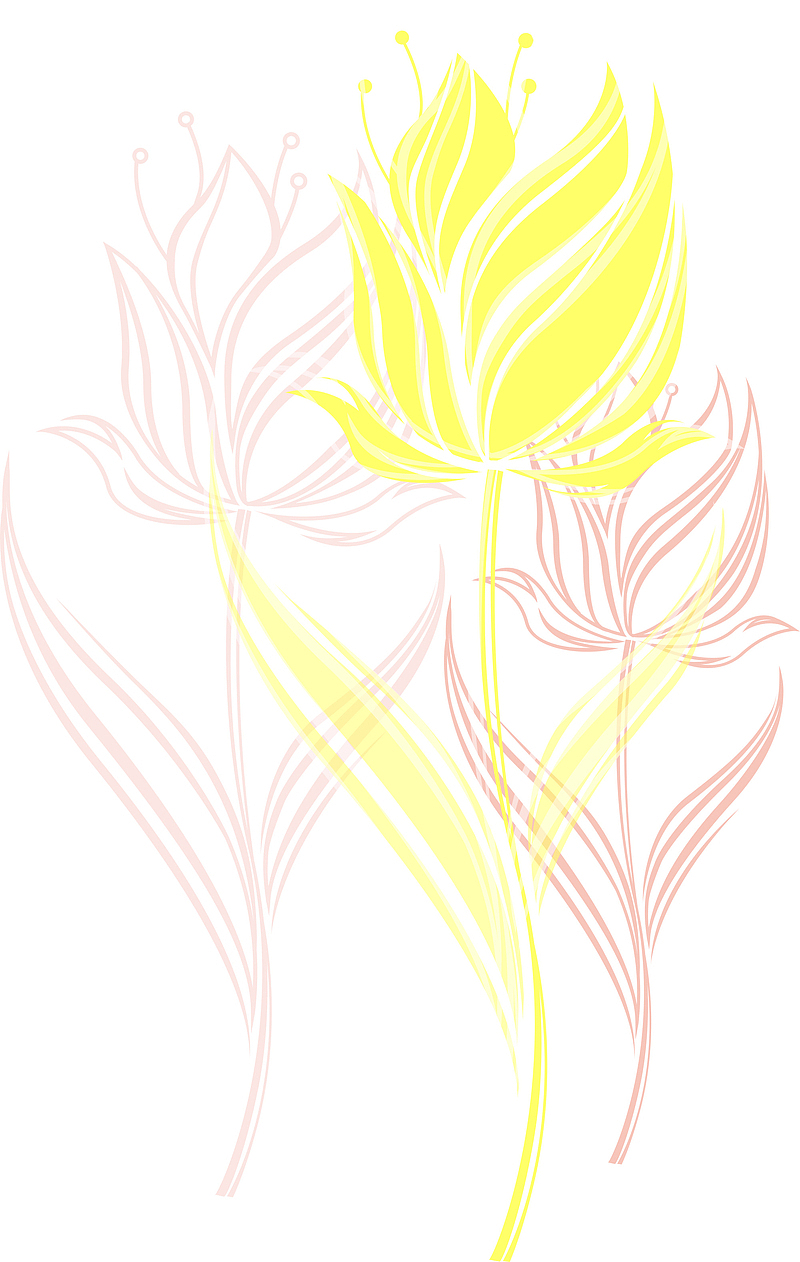 手绘花卉花朵元素