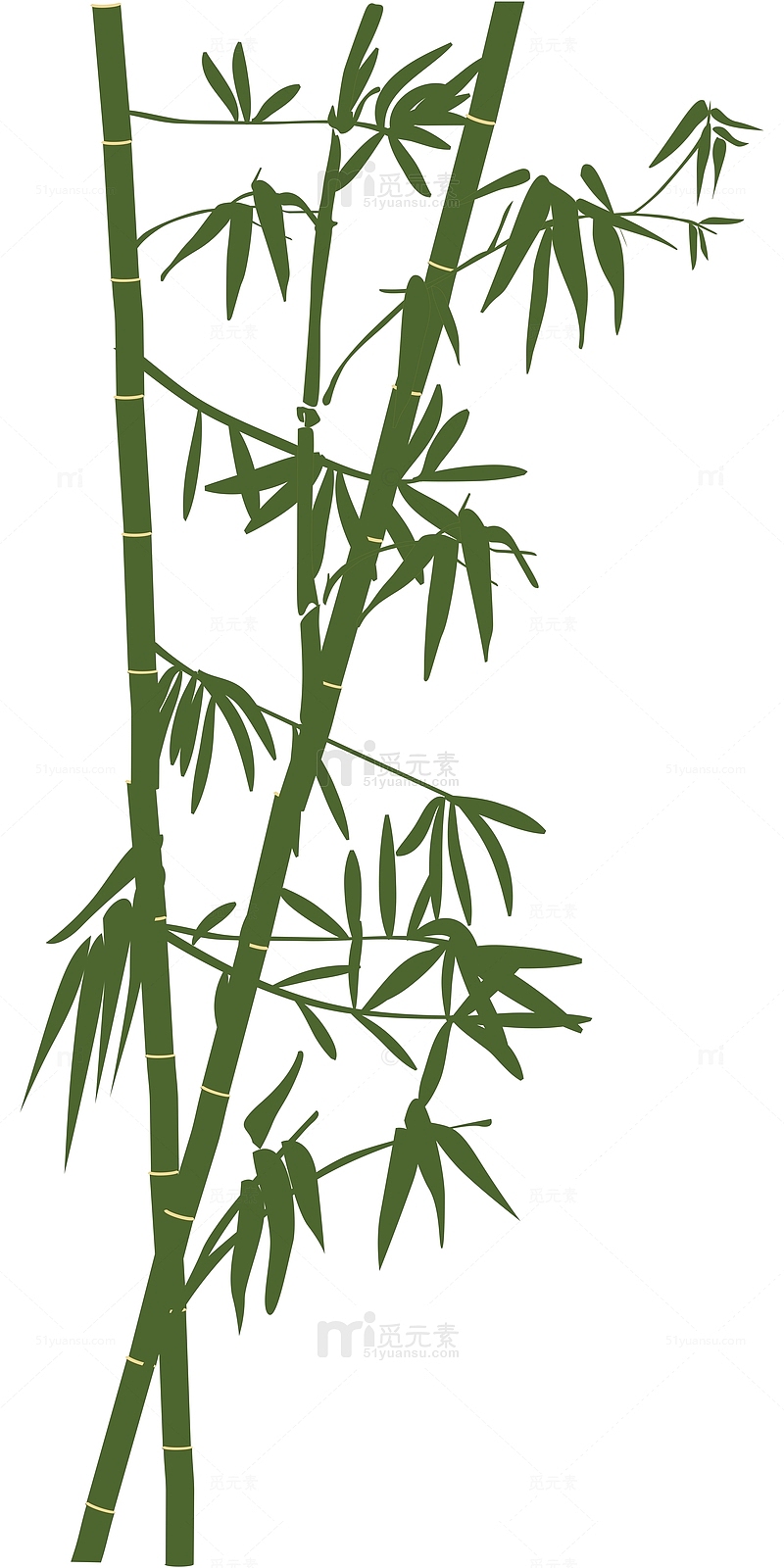 深绿色鼠绘竹子