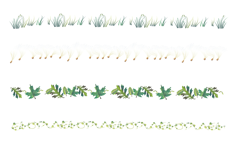 藤蔓枝条绿叶子卡通分割线