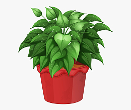 超清矢量绿植盆栽手绘插画素材