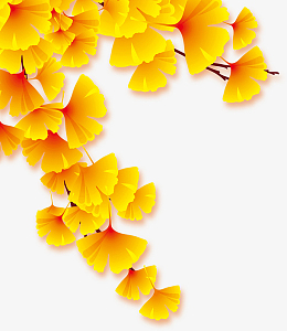 pngpng卡通银杏树手绘图pngpng黄色的树pngpng卡通银杏树pngpng创意