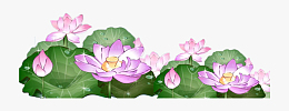 中国风水墨荷花荷塘插画素材